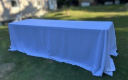 IMG 0206 2 1763483004 1 90x156 white poly Linen