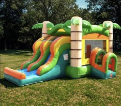 Dual Lane Tropical Combo