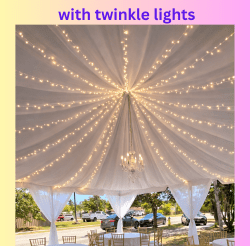 32 1773182532 1 20'X20' Draped Frame Tent