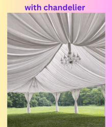 34 1773182770 1 20'x40' Draped Frame Tent