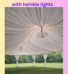 35 1773182770 1 20'x40' Draped Frame Tent